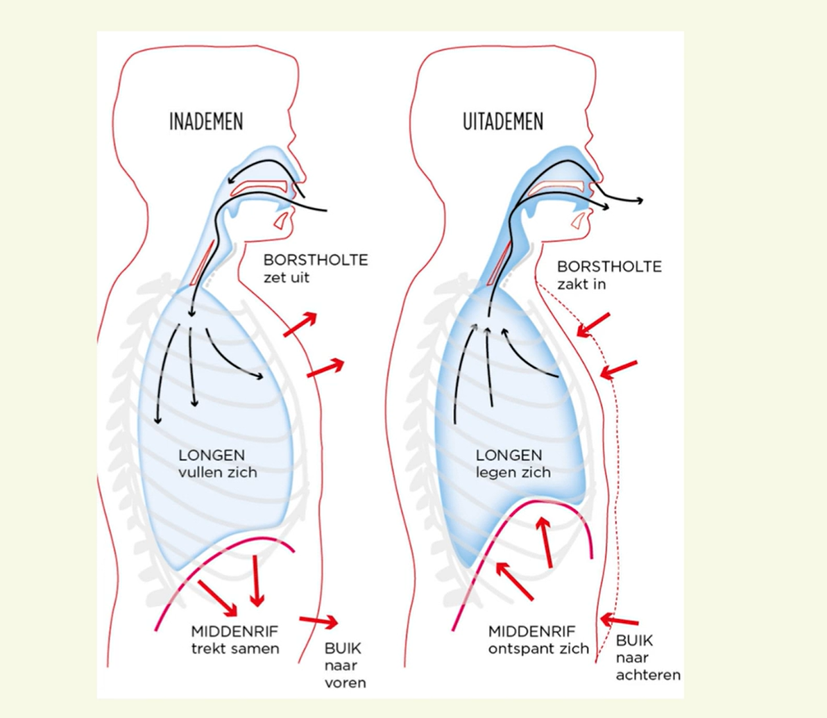 Carine V. leerde wat buikademhaling is